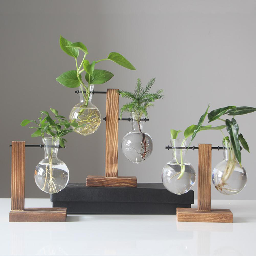 Terrário de Vidro com Suporte de Madeira para Plantas Hidropónicas