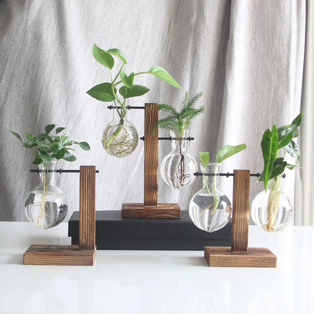 Terrário de Vidro com Suporte de Madeira para Plantas Hidropónicas