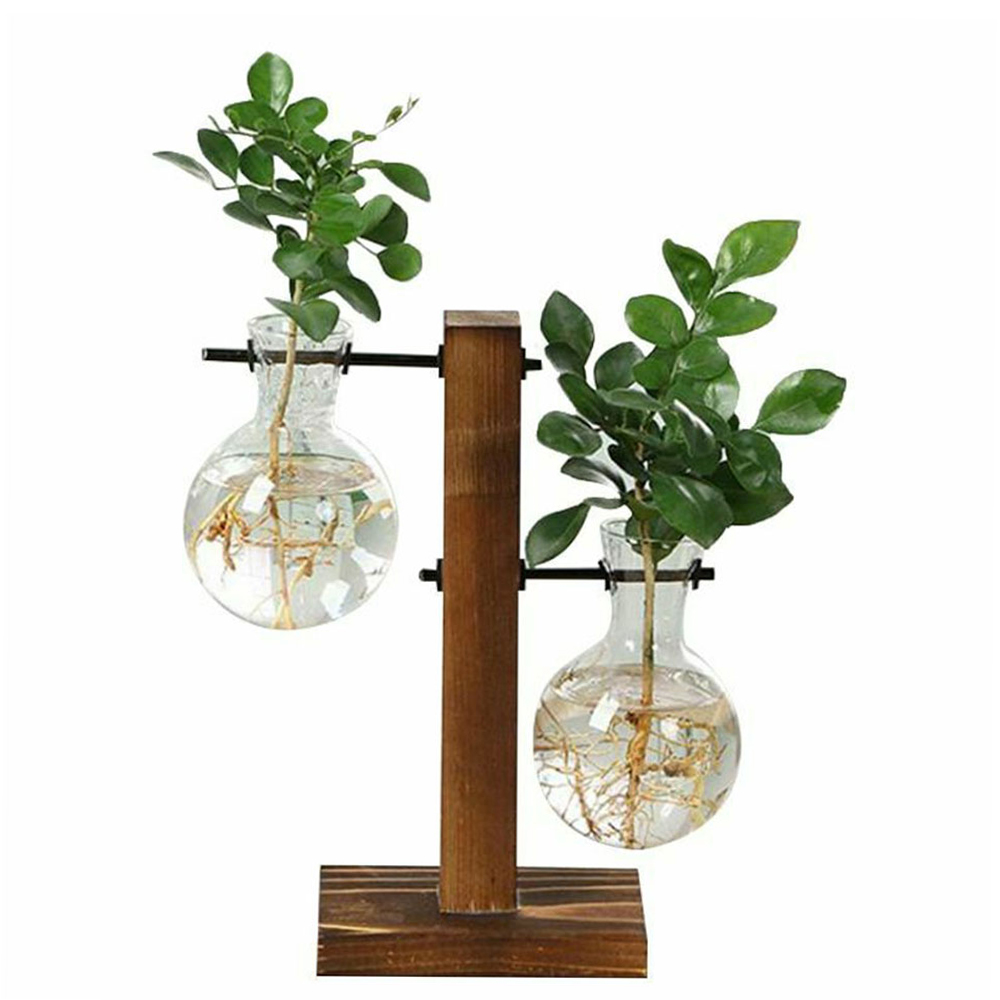 Terrário de Vidro com Suporte de Madeira para Plantas Hidropónicas