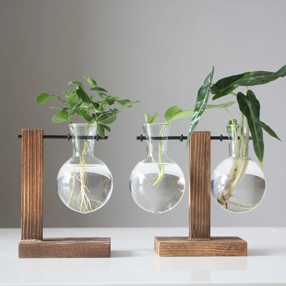 Terrário de Vidro com Suporte de Madeira para Plantas Hidropónicas