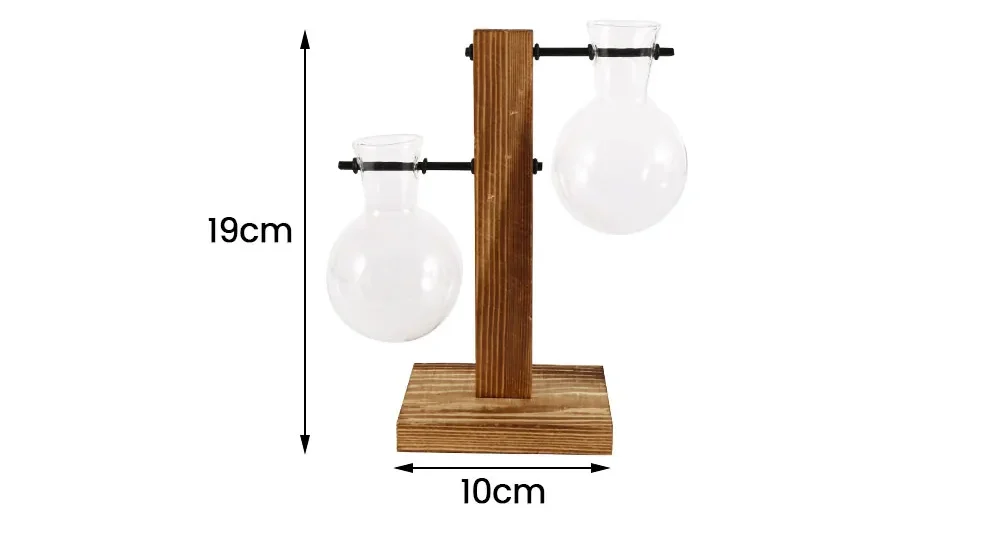 Terrário de Vidro com Suporte de Madeira para Plantas Hidropónicas