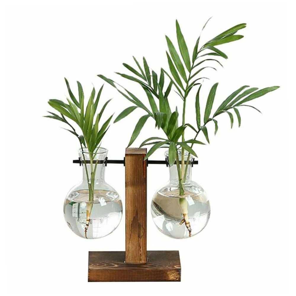 Terrário de Vidro com Suporte de Madeira para Plantas Hidropónicas