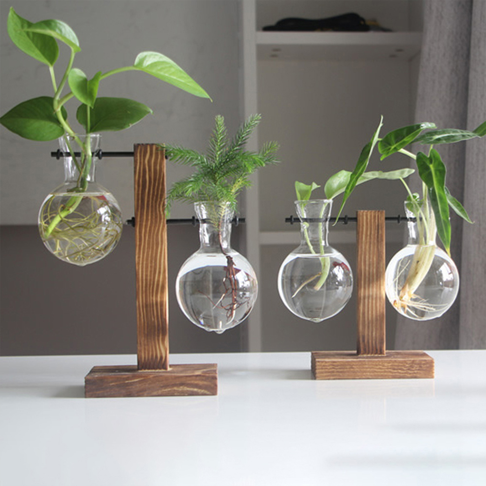 Terrário de Vidro com Suporte de Madeira para Plantas Hidropónicas