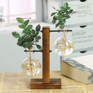 Terrário de vidro com suporte de madeira para plantas hidropónicas